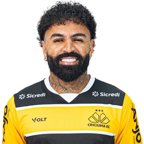 romarinho (1).png