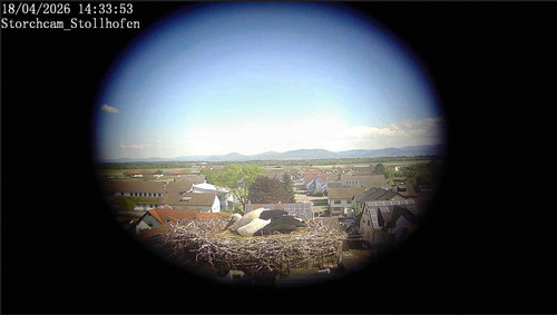MWSnap783.jpg