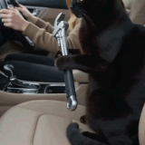 1776051875216 ezgif.com video to gif converter.gif