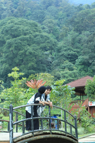 IMG 0285.JPG.jpg