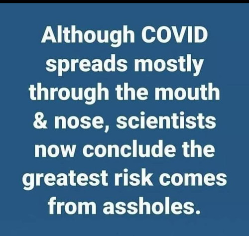 COVID comes from assholes