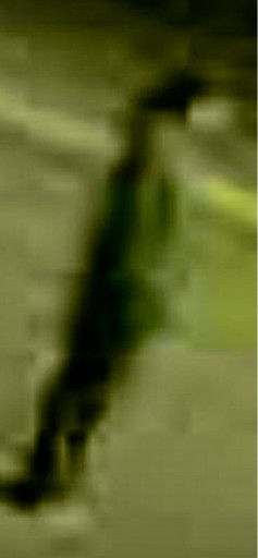 3d1192857d7c.jpg