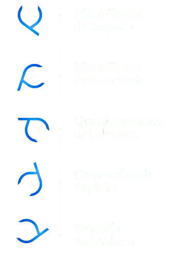 5 quedas verticais (1).webp