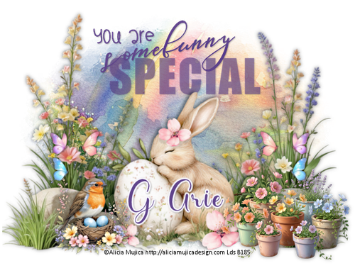 Some Buinny Special GA.png