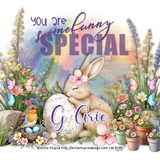 Some Buinny Special GA