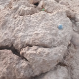 1000096312