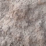 1000096271