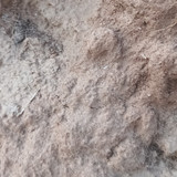 1000096270