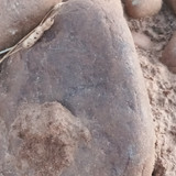1000096304
