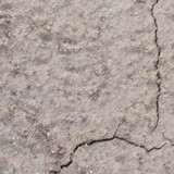 1000096251