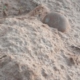 1000096284