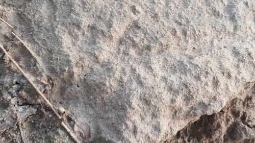 1000096283.jpg
