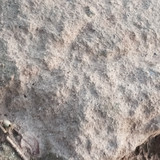 1000096283