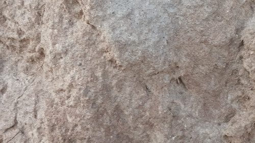 1000096253.jpg