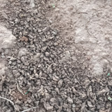 1000096261