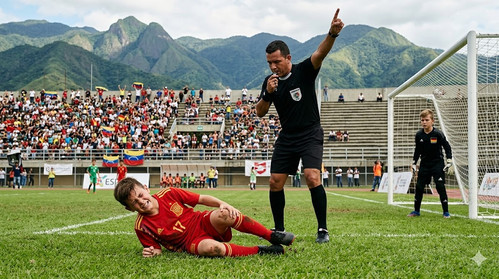 1b819161 7623 4d2a 8749 cfe3d85a38e0.jpg