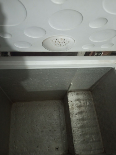 2c495a13be8e.jpg
