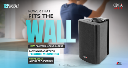 Wall mount speakers India.png