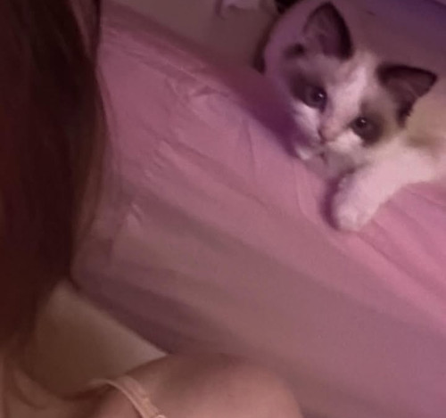 Screenshot 20260413 024850.jpg