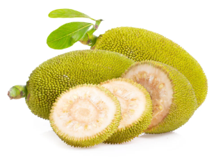 Tender Jackfruit (ഇടിച്ചക്ക)