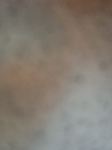 temp.png