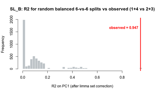 17 SLB permutation r2.png
