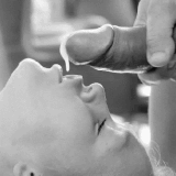 4.gif