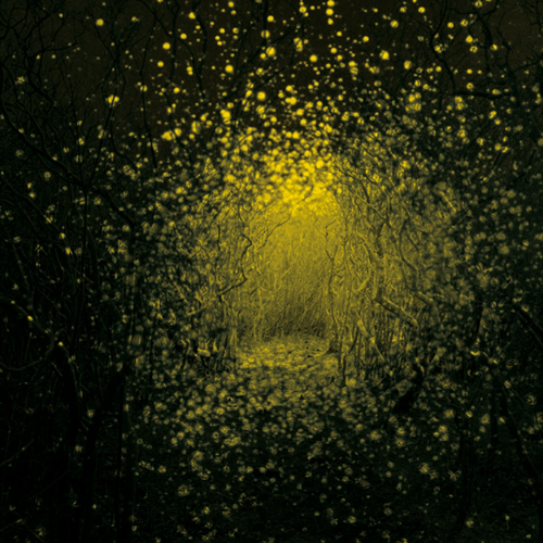 803a21d1c2a8.png