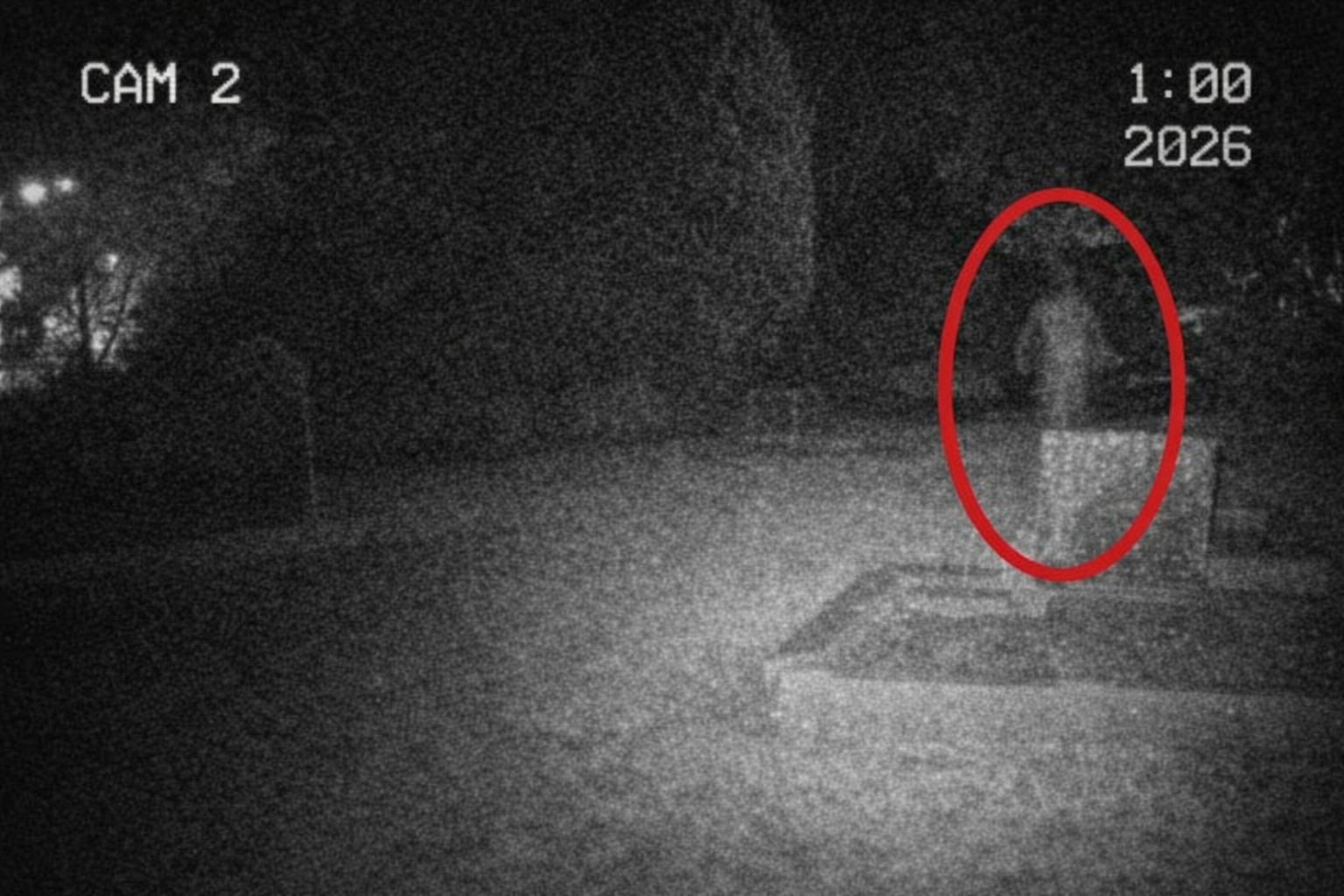 [Image: BhlddyF.jpg]