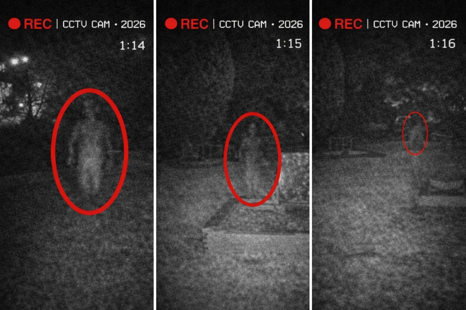 [Image: Bhlloy7.jpg]