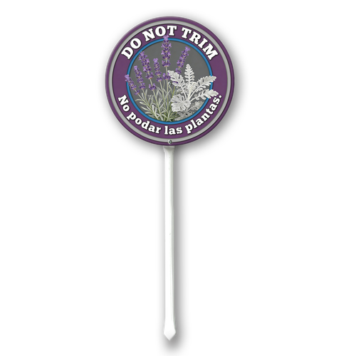 PP5.png