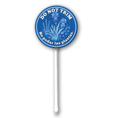 PP10.png