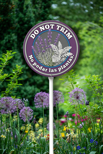 PP5.png