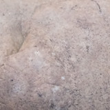 1000096354