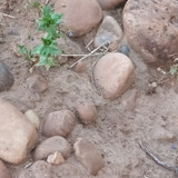 1000096355