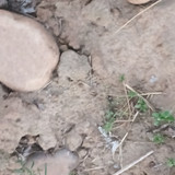 1000096356