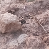 IMG 20260412 190607