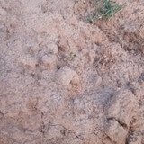 IMG 20260412 190615