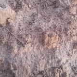 IMG 20260412 190612
