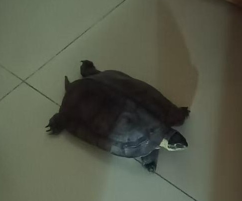 IMG 20260413 125307.jpg
