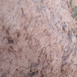 IMG 20260412 190540
