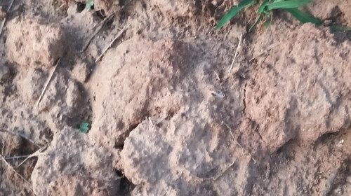 IMG 20260412 190558.jpg