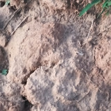 IMG 20260412 190558