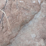 1000096353
