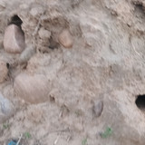 1000096342