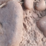 1000096334