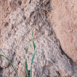 IMG 20260412 190531