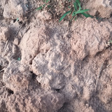 IMG 20260412 190535