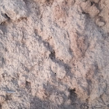 IMG 20260412 190521