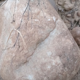 1000096349